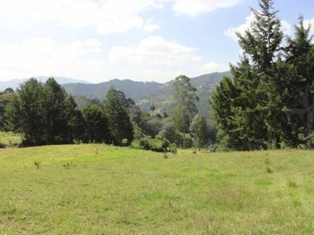Terreno para Venta en Rionegro - 2