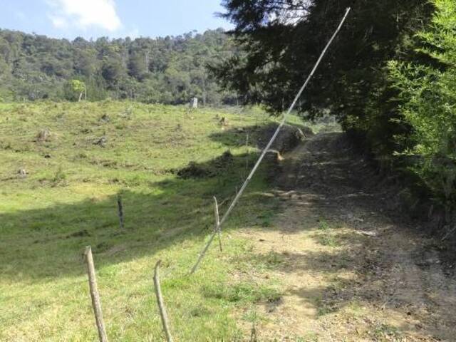 Terreno para Venta en Rionegro - 4