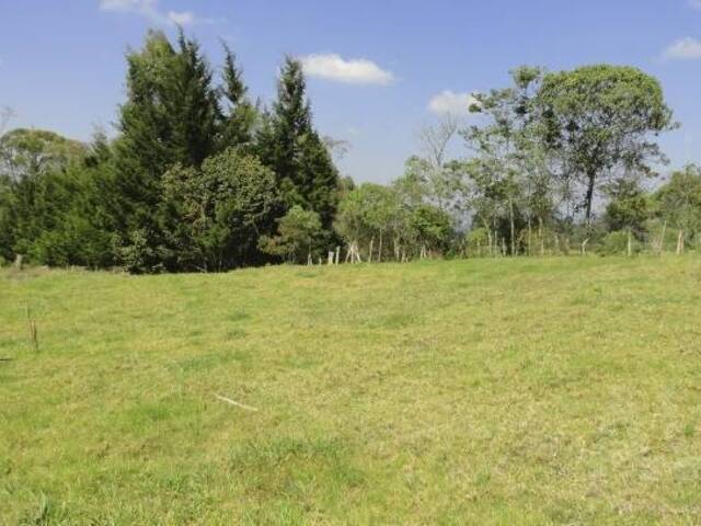 Terreno para Venta en Rionegro - 5