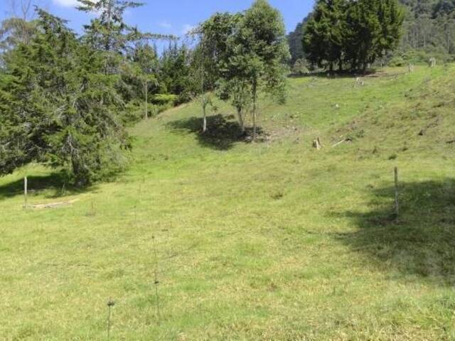 Terreno para Venta en Rionegro - 2