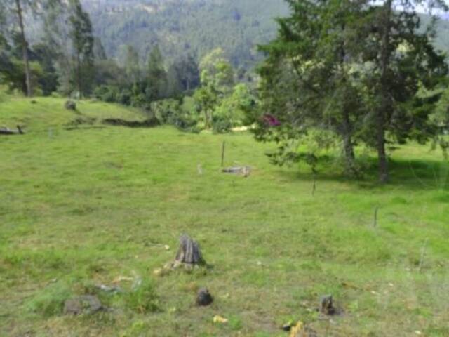 Terreno para Venta en Rionegro - 3