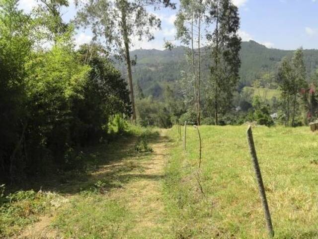 Terreno para Venta en Rionegro - 4