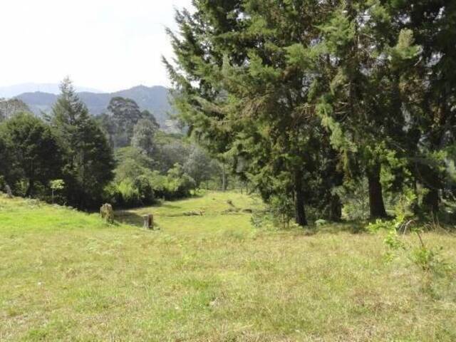 Terreno para Venta en Rionegro - 5