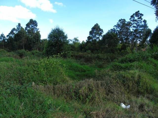 Industrial para Venta en Rionegro - 2