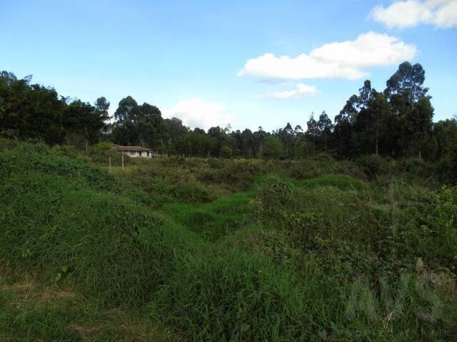 Industrial para Venta en Rionegro - 3