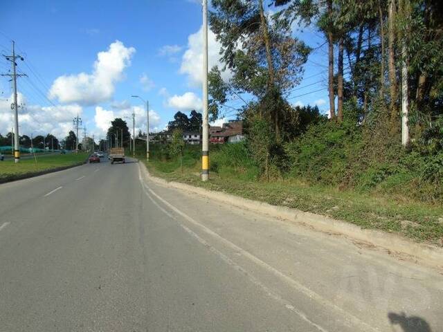 Industrial para Venta en Rionegro - 4