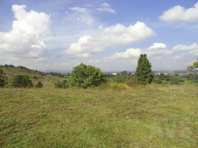#148 - Terreno para Venta en Rionegro - ANT - 2