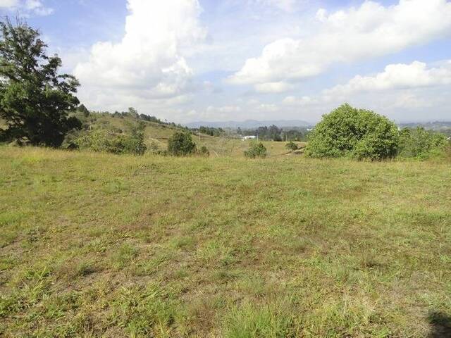 #148 - Terreno para Venta en Rionegro - ANT - 1
