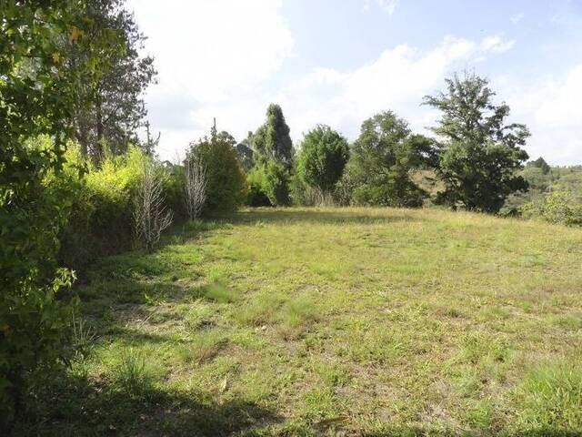#148 - Terreno para Venta en Rionegro - ANT - 3