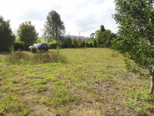 Terreno para Venta en Rionegro - 4