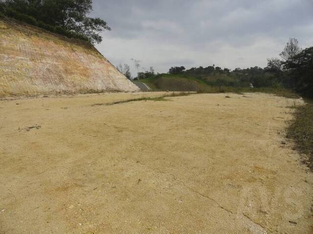 Terreno para Venta en Carmen de Viboral - 3