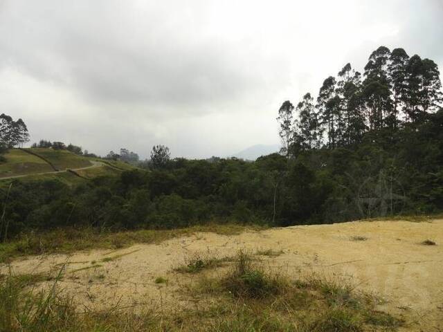 Terreno para Venta en Carmen de Viboral - 4