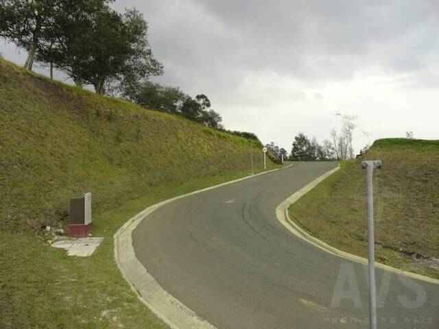 Terreno para Venta en Carmen de Viboral - 5