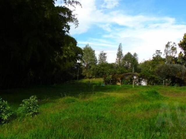 Terreno para Venta en Rionegro - 5