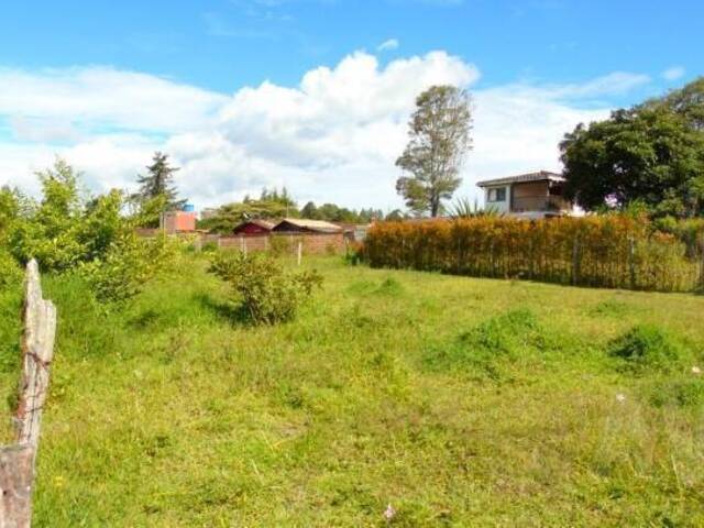 #664 - Terreno para Venta en Rionegro - ANT - 3