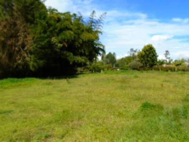 #664 - Terreno para Venta en Rionegro - ANT - 1