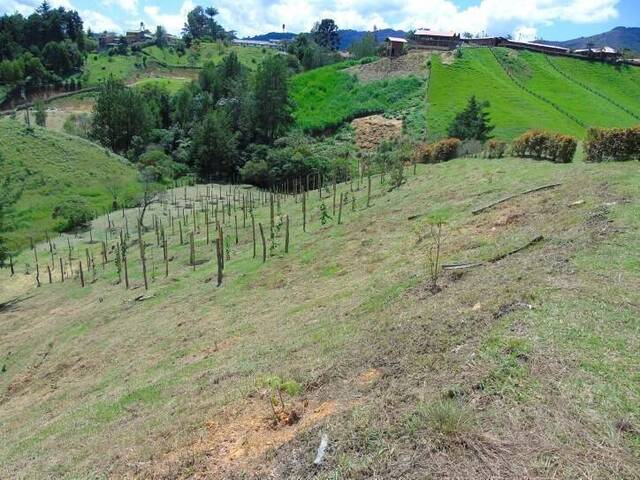 #1009 - Terreno para Venta en Rionegro - ANT - 2