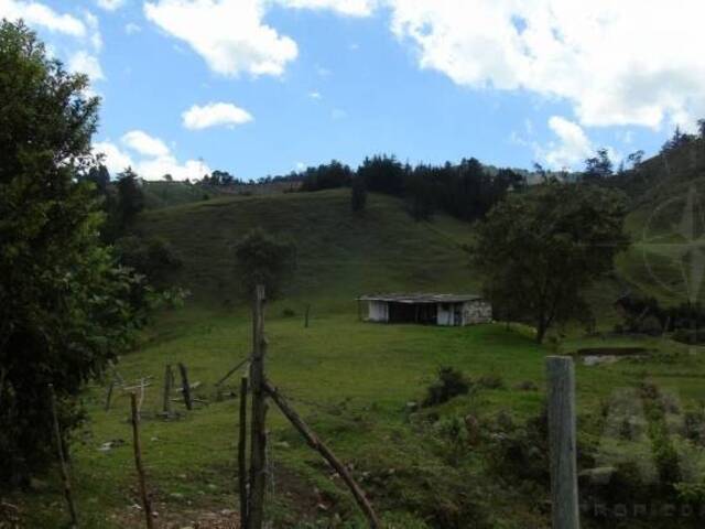 Terreno para Venta en Retiro - 3