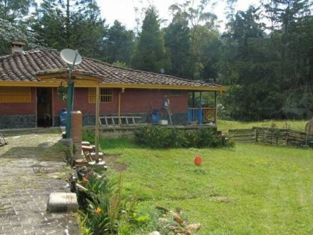 #1017 - Finca para Venta en Rionegro - ANT - 3
