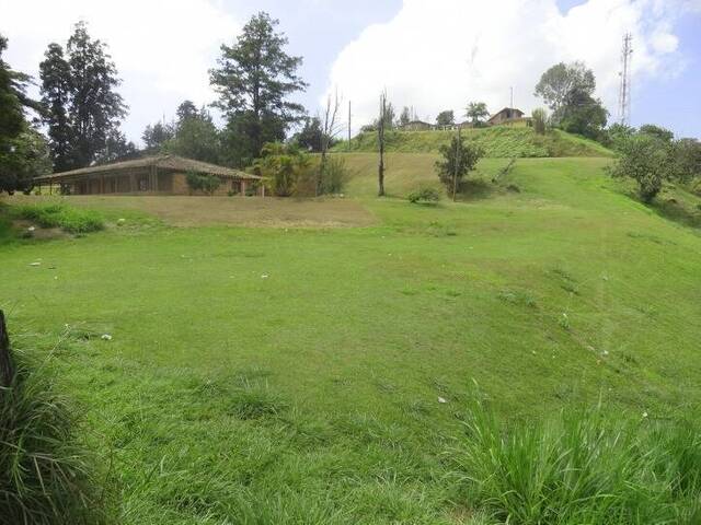 #217 - Industrial para Venta en Rionegro - ANT - 1