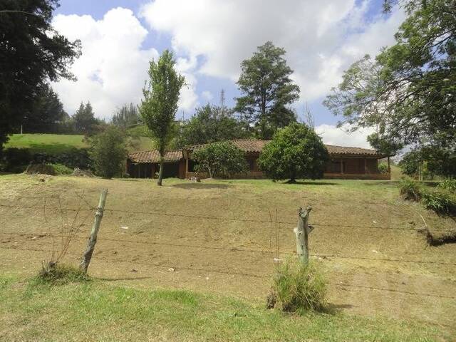 Industrial para Venta en Rionegro - 2