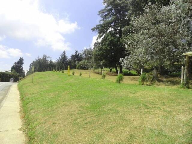Industrial para Venta en Rionegro - 5