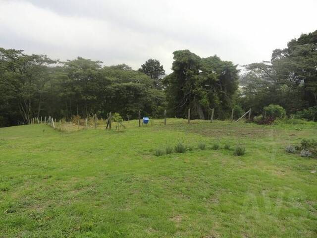 Finca para Venta en Rionegro - 4