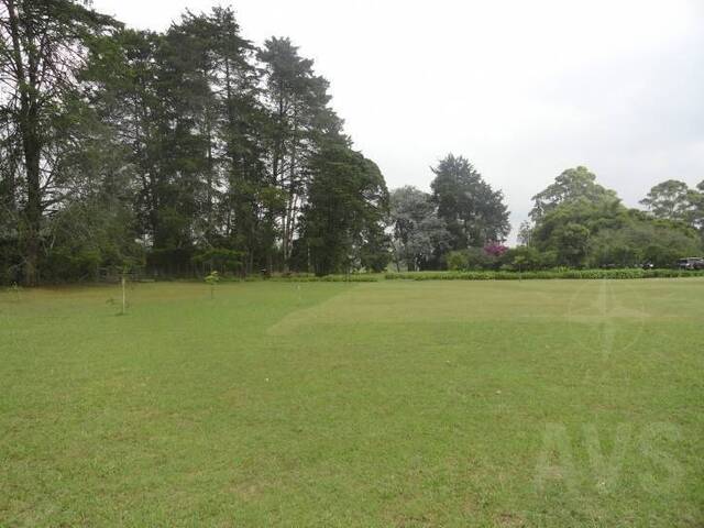 Finca para Venta en Rionegro - 5