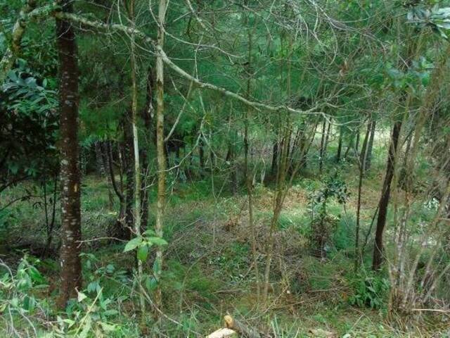 Industrial para Venta en Rionegro - 2