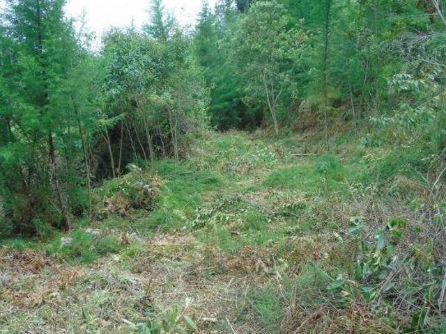 Industrial para Venta en Rionegro - 4