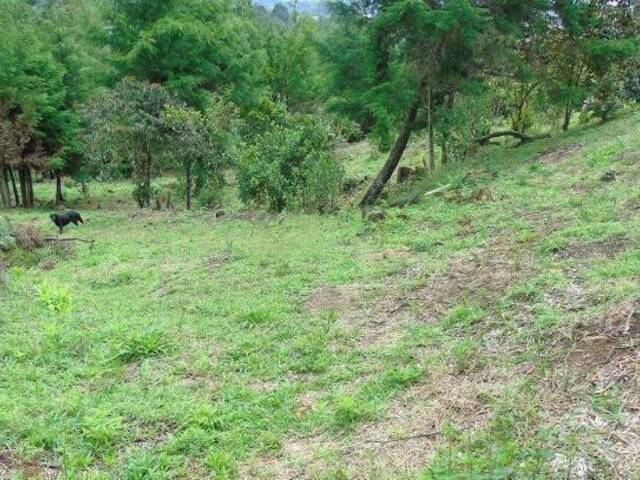 Industrial para Venta en Rionegro - 3