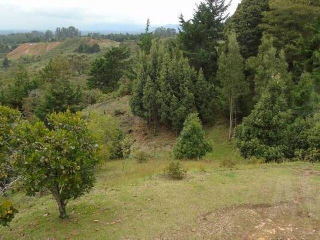 Industrial para Venta en Rionegro - 2