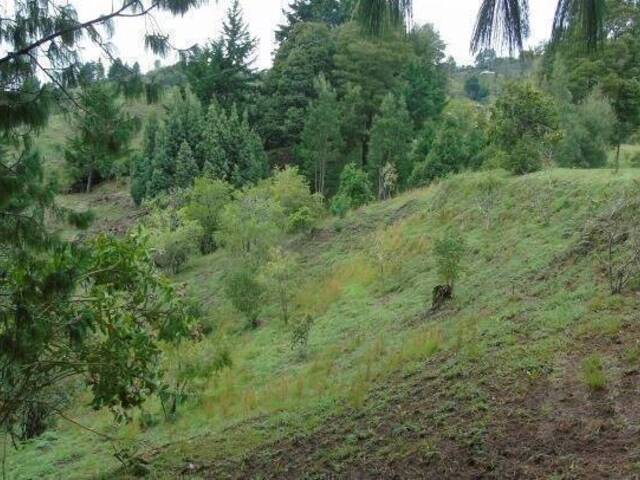 Industrial para Venta en Rionegro - 5