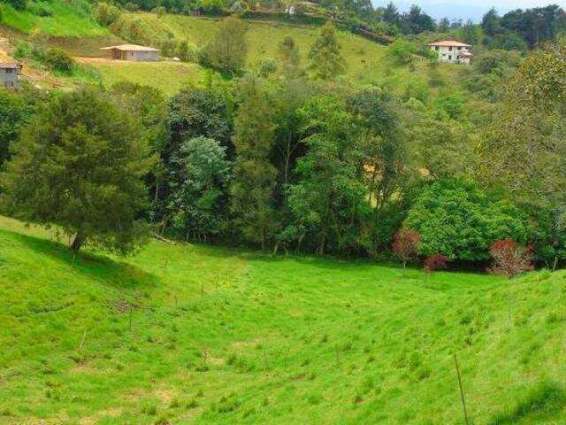 Terreno para Venta en Rionegro - 2