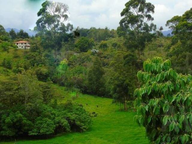 Terreno para Venta en Rionegro - 3