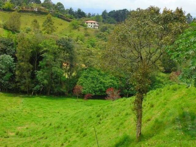 Terreno para Venta en Rionegro - 5