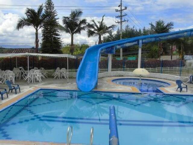 Establecimiento para Venta en Carmen de Viboral - 4