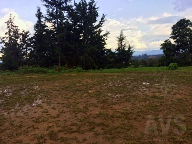 #1087 - Terreno para Venta en Rionegro - ANT - 3