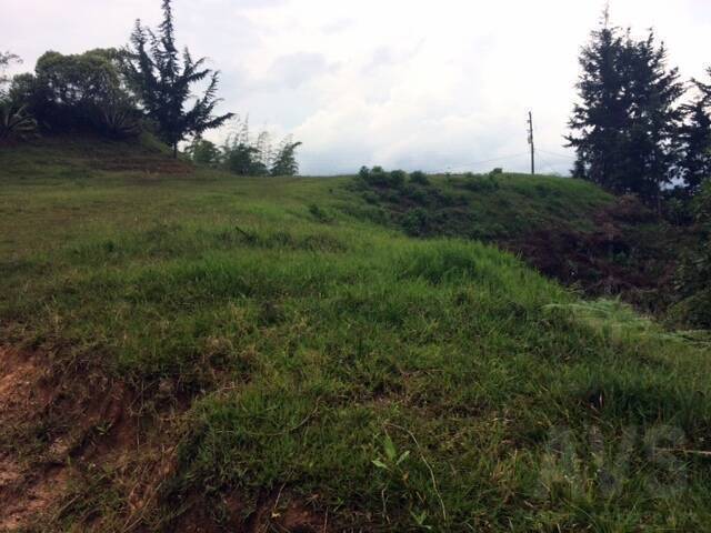 Terreno para Venta en Rionegro - 5
