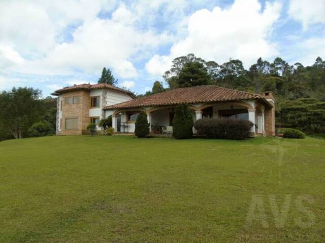 Finca para Venta en Rionegro - 4