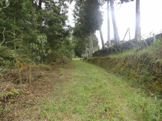 Terreno para Venta en Guarne - 5