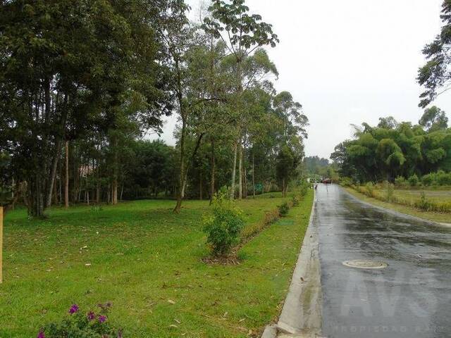 Terreno para Venta en La Ceja - 2