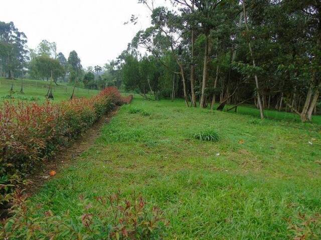 Terreno para Venta en La Ceja - 3