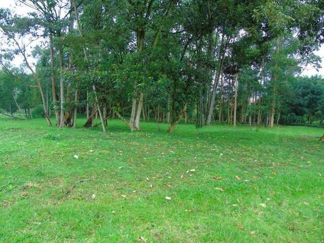 Terreno para Venta en La Ceja - 4