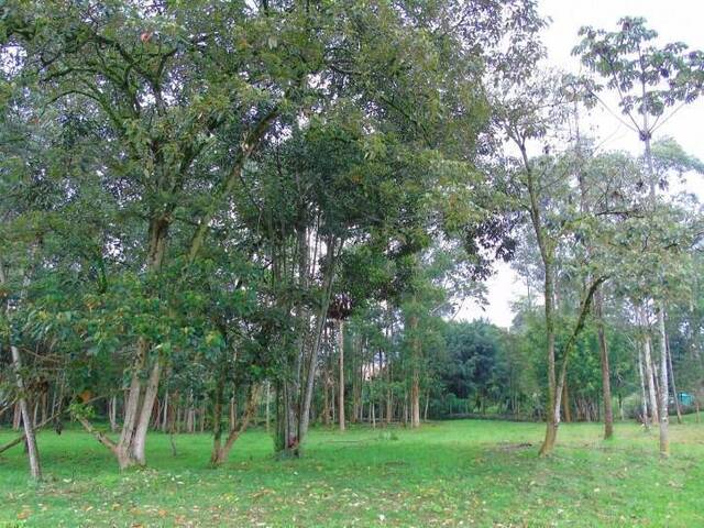 Terreno para Venta en La Ceja - 5