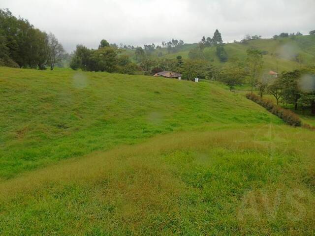 Terreno para Venta en Carmen de Viboral - 2