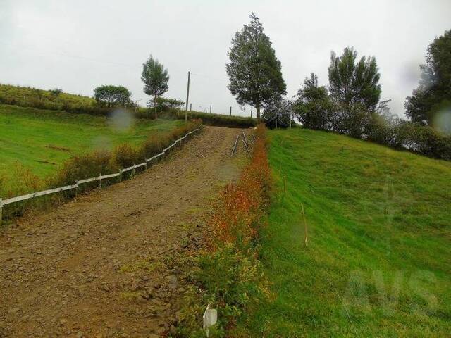 Terreno para Venta en Carmen de Viboral - 3