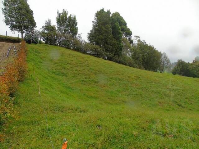 Terreno para Venta en Carmen de Viboral - 4