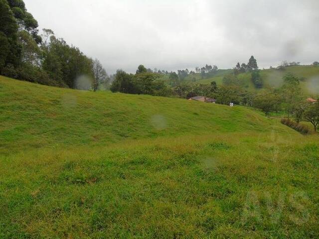 Terreno para Venta en Carmen de Viboral - 5