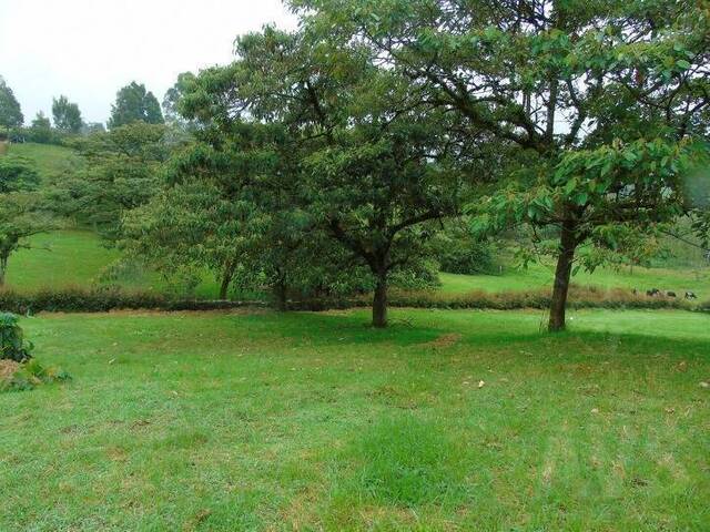 Terreno para Venta en Carmen de Viboral - 4